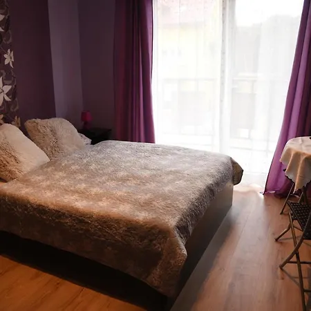 Séjour chez l'habitant Nestor Ii *